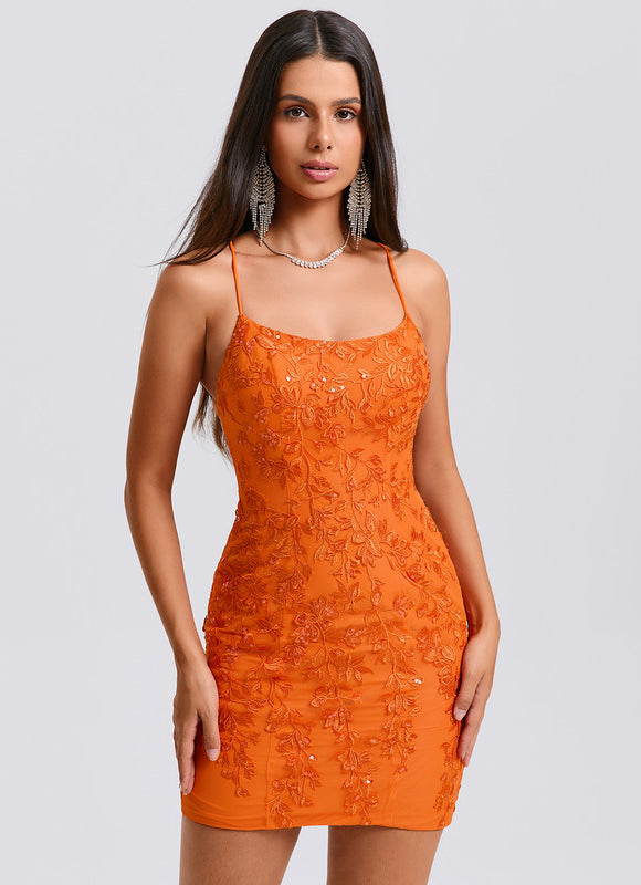 Robe Courte Brillante