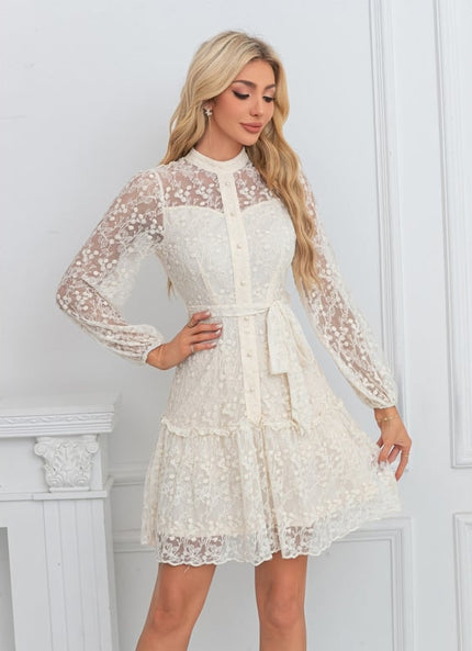 Robe Courte Dentelle Transparente